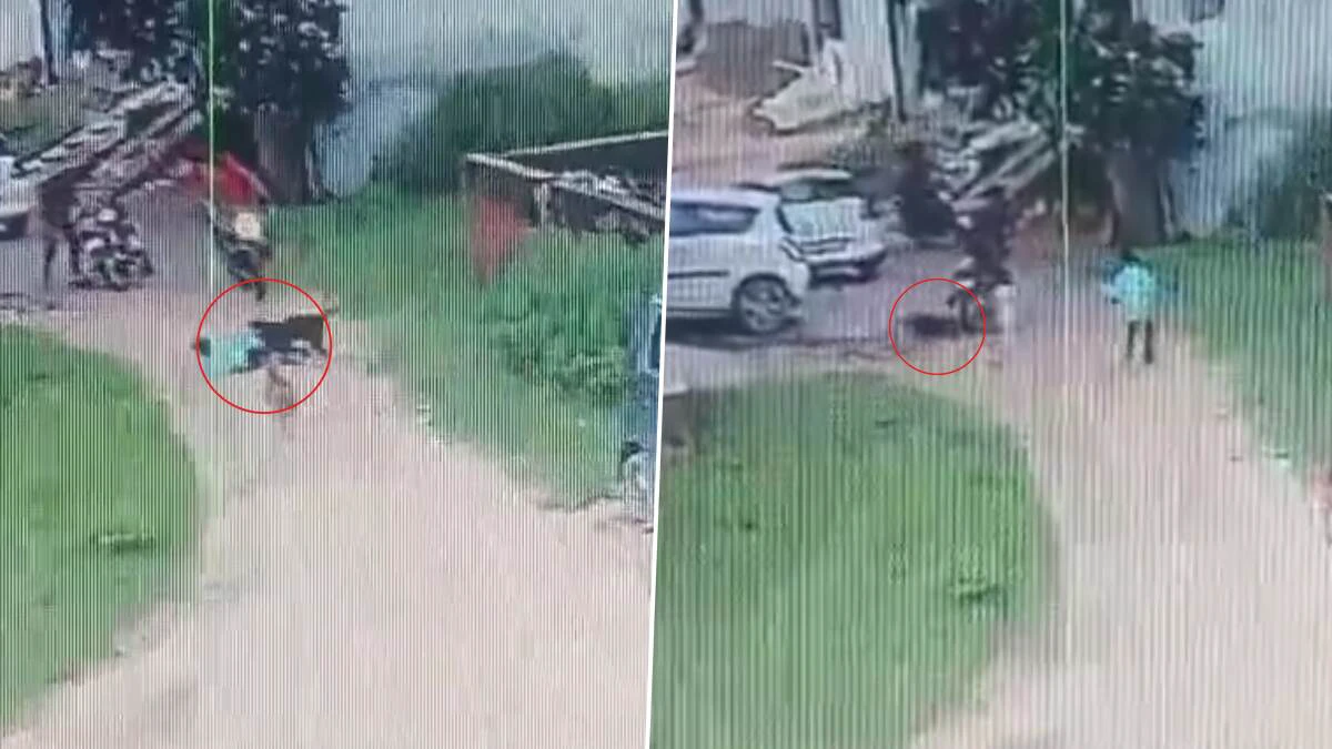 வீட்டின் முன் விளையாடிக் கொண்டிருந்த சிறுவன்..  திடீரென சீறிப் பாய்ந்து வந்த தெரு நாய்… விடாமல் காலை கடித்து இழுத்து… வைரலாகும் அதிர்ச்சி வீடியோ…!!!