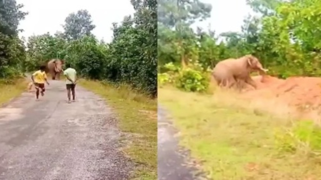 ஐயோ… யானை வருது…! “கொடூரமாக மிதித்து…” உயிர் தப்பிக்க ஓடிய வாலிபர்கள்…. அடுத்த நொடியே…. பதைப்பதைக்கும் வீடியோ…!!