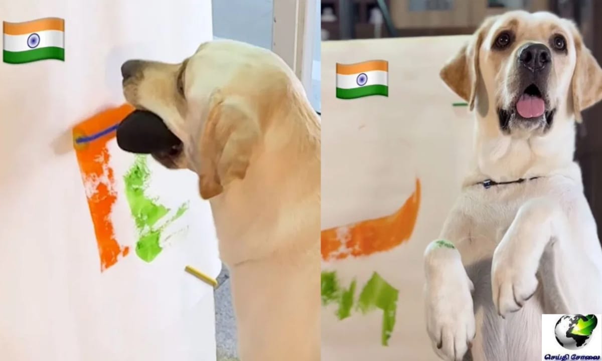 சல்யூட்..! வாயில்லா ஜீவனுக்கு இந்தியாவின் மீது இம்புட்டு பற்றா..? உண்மையான தேசபக்தி பா… தேசியக்கொடியை அற்புதமாக வரைந்து… புல்லரிக்க வைக்கும் வீடியோ…!!!!
