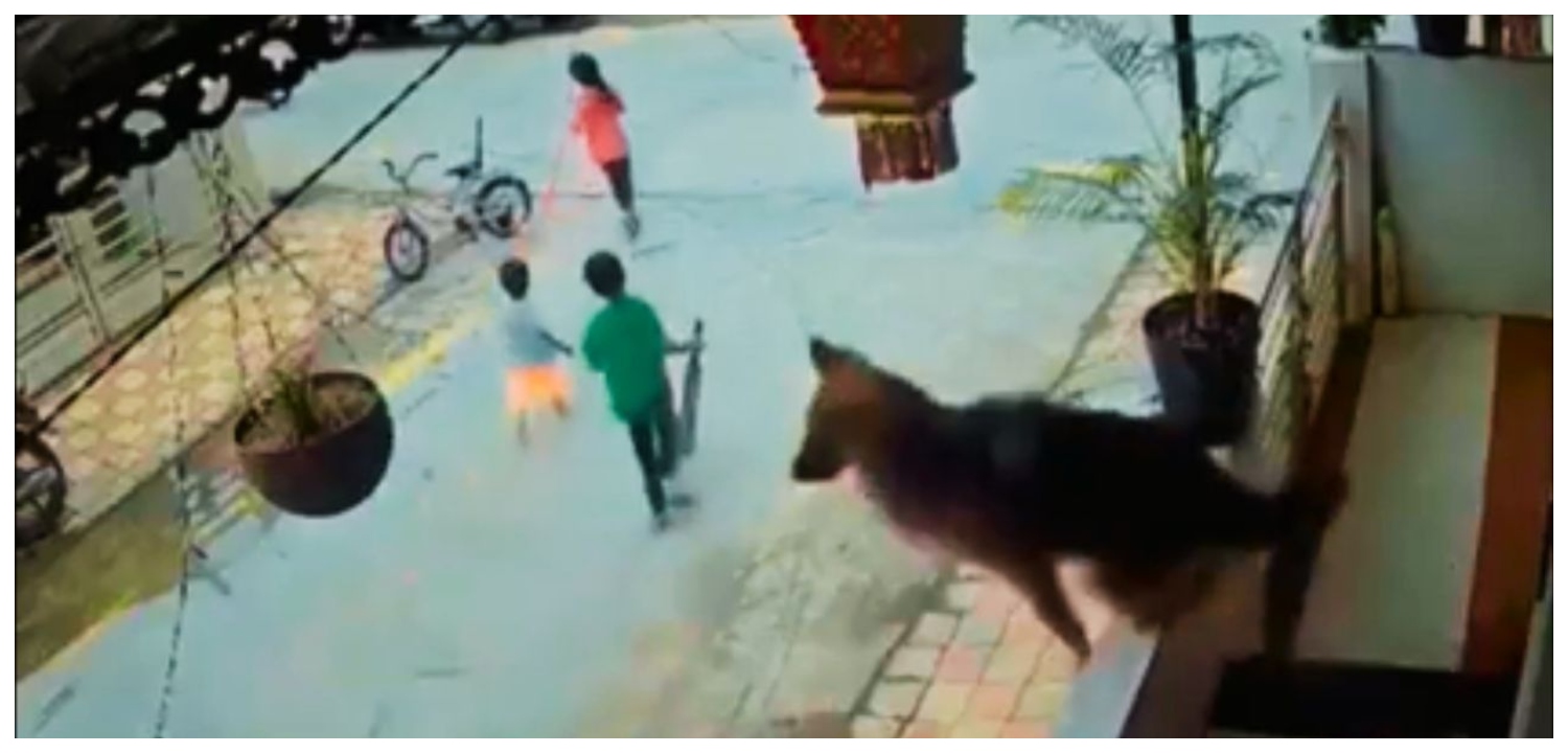 ஹீரோவாக மாறிய ஜெர்மன் ஷெப்பர்ட்…. சாலையில் சென்று கொண்டிருந்த குழந்தைகள்… பின் தொடர்ந்து ஓடிய தெரு நாய்… பால்கனியில் இருந்து குதித்து விரட்டி… வைரலாகும் வீடியோ…!!!