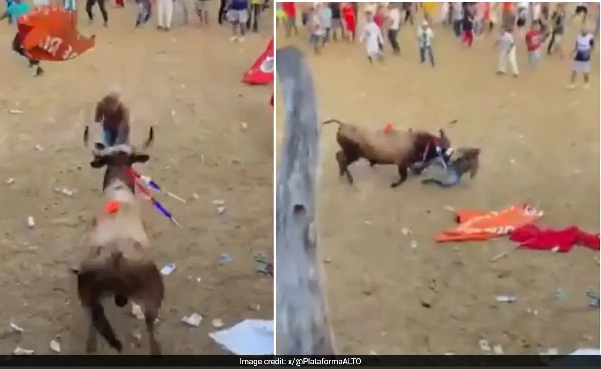 காளை திருவிழா..!  ஓடி வந்து மாட்டின் மீது பாய்ந்த நபர்… கட்டுக்கடங்காத வேகத்தில் தூக்கி வீசிய காளை… ரத்தம் கொட்ட கொட்ட பறிபோன உயிர்… வைரலாகும் பரபரப்பு வீடியோ..!!