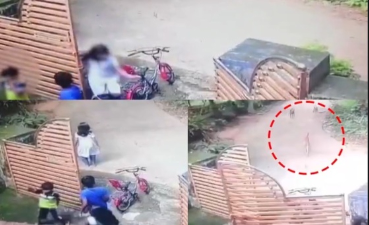 தெருவில் விளையாட்டில் மூழ்கிய சிறுவர்கள்… திடீரென தெரு நாய்கள்  துரத்திய பயங்கரம்… வெளியான பதற வைக்கும் சிசிடிவி காட்சிகள்….!!!!