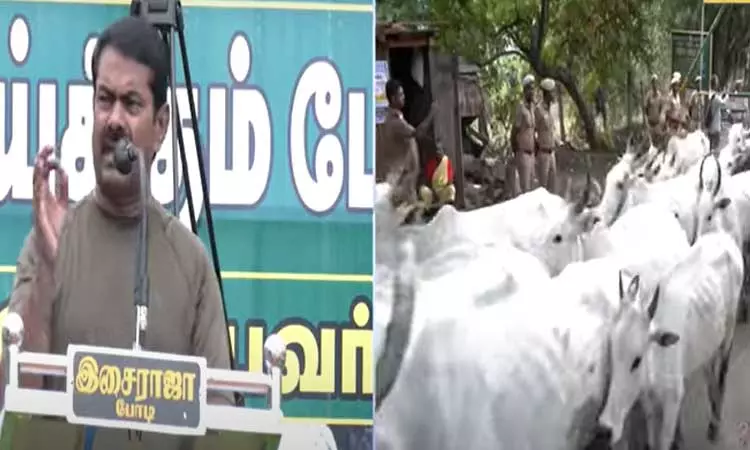 “தமிழகத்தில் இனப்படுகொலை நடக்குது….” அனுமதியின்றி மாடுகளுடன் வனப்பகுதிக்கு சென்ற சீமான்….. போலீசாருடன் வாக்குவாதம்…. கொந்தளித்த சீமான்….!!