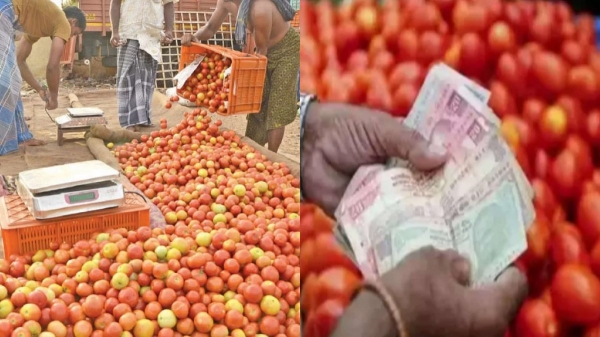 Breaking: காலையிலேயே இல்லத்தரசிகளுக்கு ஷாக் நியூஸ்.…! மீண்டும் கிடுகிடுவென உயர்ந்தது தக்காளி விலை…  ஒரு கிலோ எவ்வளவு தெரியுமா..?