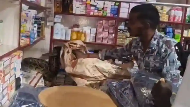 அம்மாடி எவ்ளோ பெருசு..! கடைக்குள் இருந்த 8 அடி பாம்பு… பதறிப்போன உரிமையாளர்… வைரலாகும் திகிலூட்டும் வீடியோ…!!!