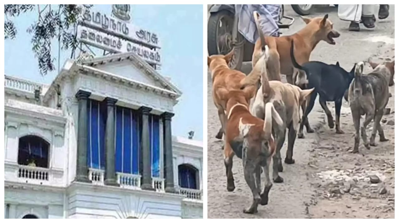 Breaking: தமிழகத்தில் 8 மாதத்தில் தெரு நாய் கடியால் 3.60 லட்சம் பேர் பாதிப்பு… 22 பேர் உயிரிழப்பு… வெளியான அதிர்ச்சி தகவல்..!!!