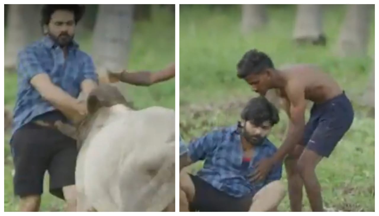 பிரபல தமிழ் பட நடிகரை முட்டி தூக்கிய காளை…! “வயிற்றில் வழிந்த ரத்தம்”… வைரலாகும் பரபரப்பு வீடியோ…!!!