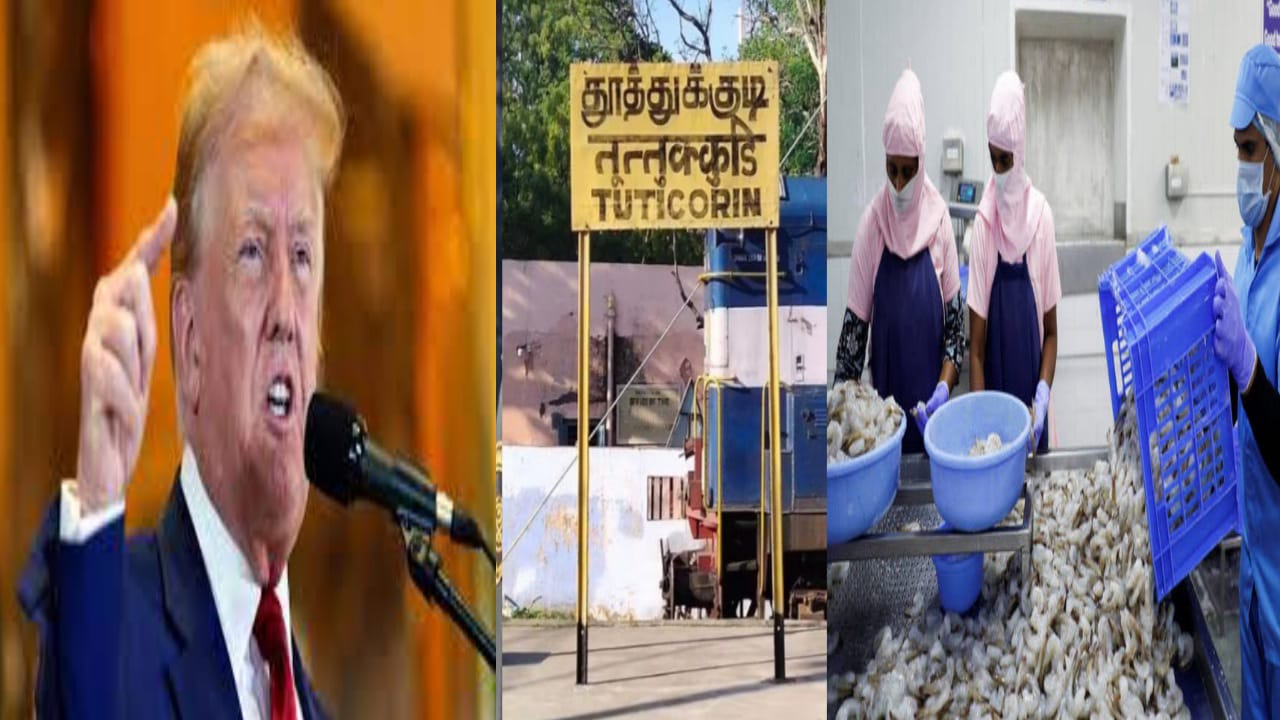 “50% வரி கட்ட முடியாது” – அமெரிக்கா மறுப்பு… தூத்துக்குடியில்  ஏற்றுமதி முற்றிலும் நிறுத்தம்… உலக சந்தையில் அதிர்ச்சி..!!!