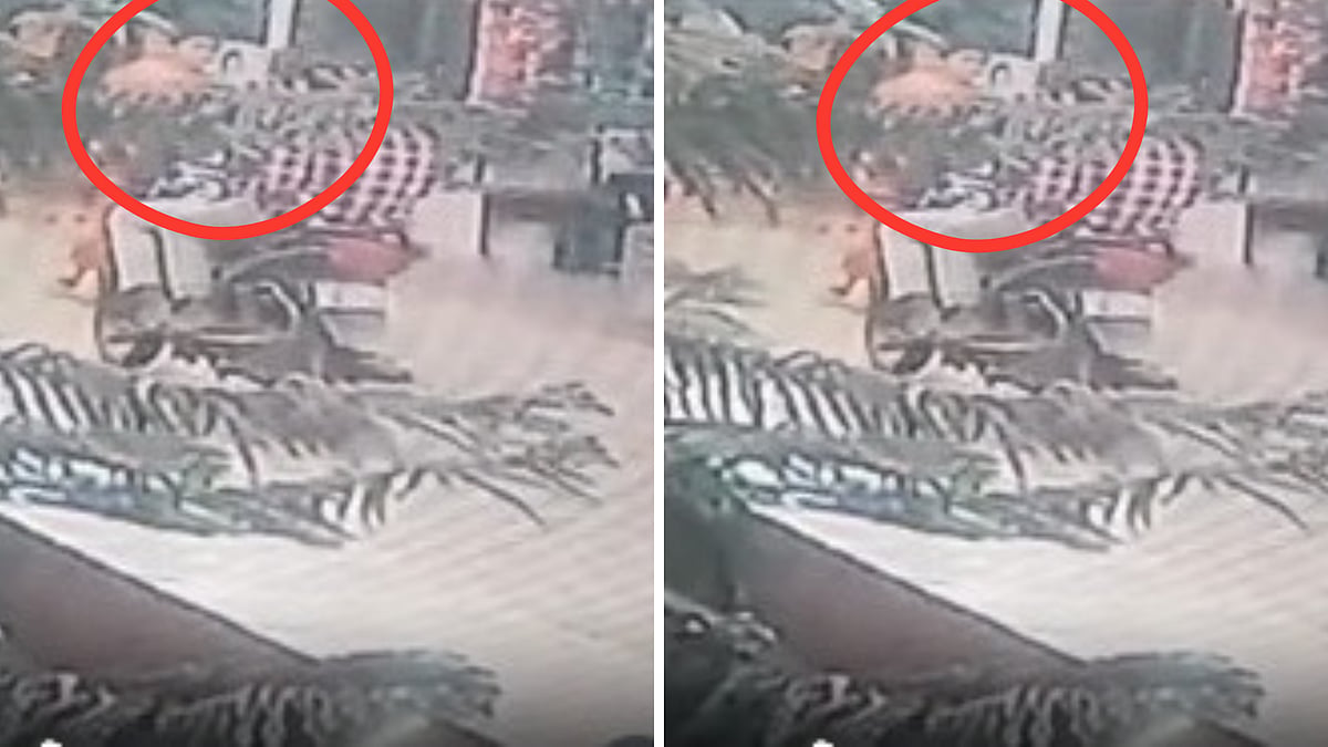 “பட்டப் பகலில் பயங்கர துணிச்சல்”… பைக்கில் வந்து  தாலியை பறித்த வாலிபர்கள்… கத்தி கதறி அலறிய பெண்… வைரலாகும் பரபரப்பு வீடியோ…!!!!