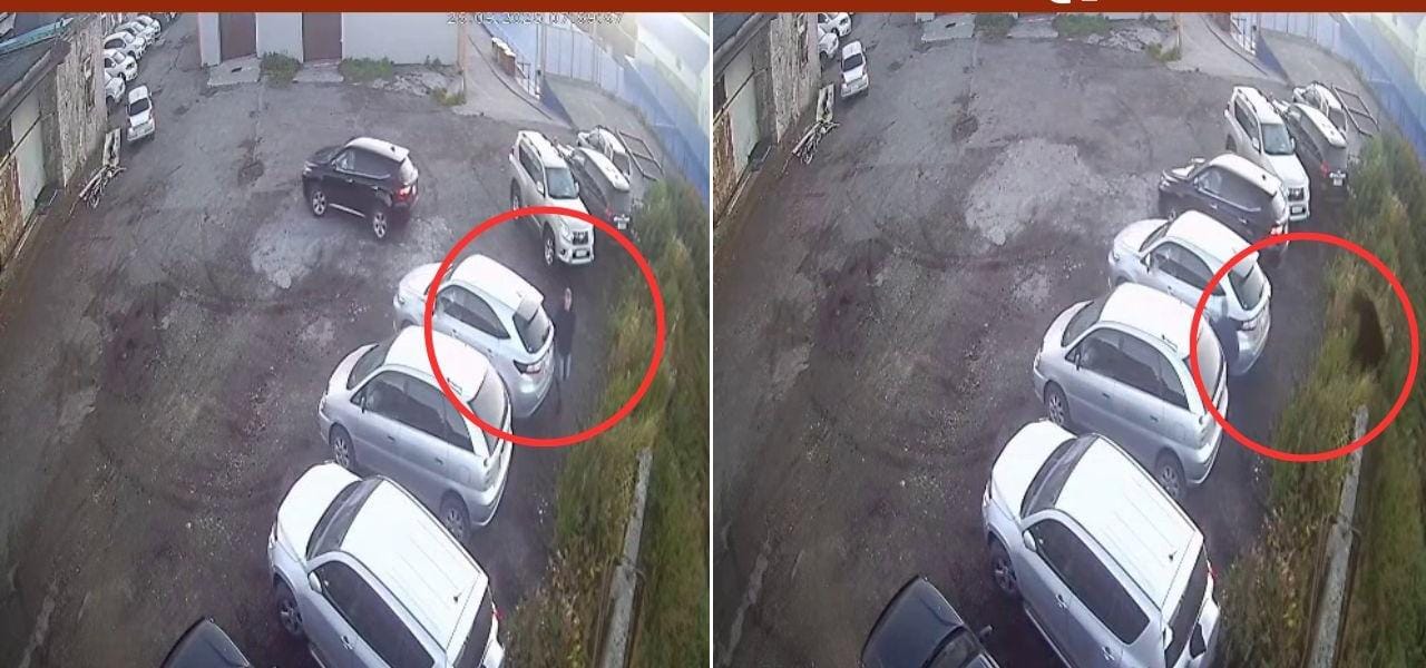 ஐயோ பார்த்தாலே பதறுது… கார் பார்க்கிங்கில் நின்று கொண்டிருந்த நபர்… திடீரென காட்டுக்குள் இருந்து வந்த கரடி… நொடி பொழுதில் உயிர் தப்பிய இளைஞர்… வைரலாகும் அதிர்ச்சி வீடியோ…!!!