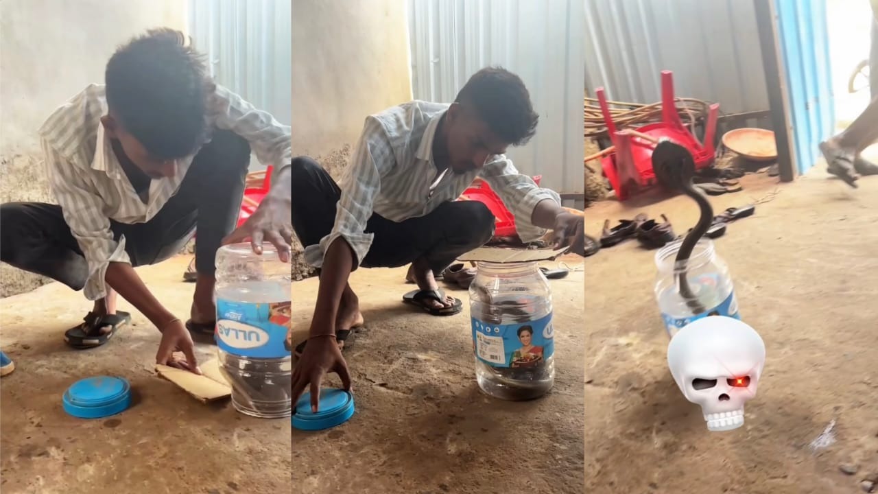 டப்பாவை அங்குட்டும் இங்குட்டுமாக கவுத்தி…! “விஷப் பாம்பை மூடி போட்டு அடைத்து வைக்க முயன்ற வாலிபர்”… கடைசியில் நடந்த ஷாக் டிவிஸ்ட்.‌‌. வீடியோ வைரல்…!!!