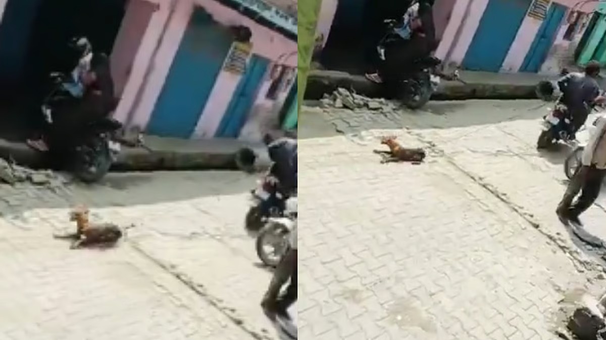 ஈவு இரக்கமே இல்லையா..? “அதுவும் ஒரு உயிர் தானே”… வாயில்லா ஜீவனை பைக்கில் கட்டி தர தரவென இழுத்துச் சென்ற கொடூரம்… மனசாட்சியே இல்லாத வாலிபர்கள்… பகீர் வீடியோ..!!!!
