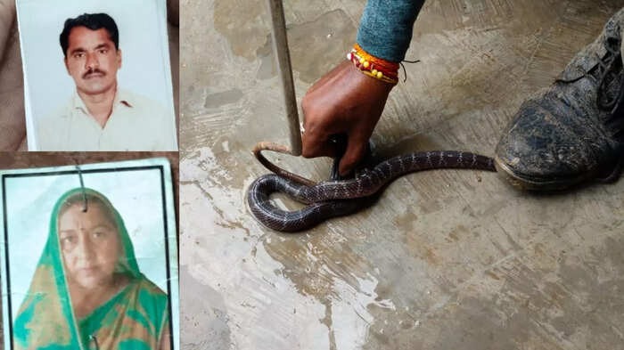 “இரவு நேரத்தில் திடுக்”… கணவனின் கையில், மனைவியின் கழுத்தில்…. திடீரென கேட்ட புஷ் புஷ் சத்தம்.. விடிந்ததும் தெரிந்த உண்மை… பறிபோன உயிர்…!!!