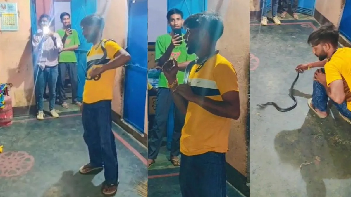 அடேய்..! பாம்பை பிடிச்சு தான் நீ ஹீரோவாகனுமா…? கழுத்தில் பாம்பை போட்டு வித்தை காட்டிய வாலிபர்… கழுத்தில் ஒரே போடு… உயிரே போயிடுச்சு… பரபரப்பு வீடியோ..!!!
