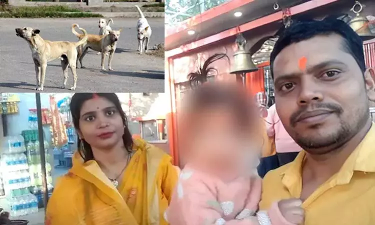 அடக்கொடுமையே…. வீட்டின் வெளியே விளையாடிக் கொண்டிருந்த 2 வயது சிறுவன்… 5 தெரு நாய்கள் ஒன்று கூடி குழந்தையை கடித்து குதறி… பதற வைக்கும் சம்பவம்.. !!!