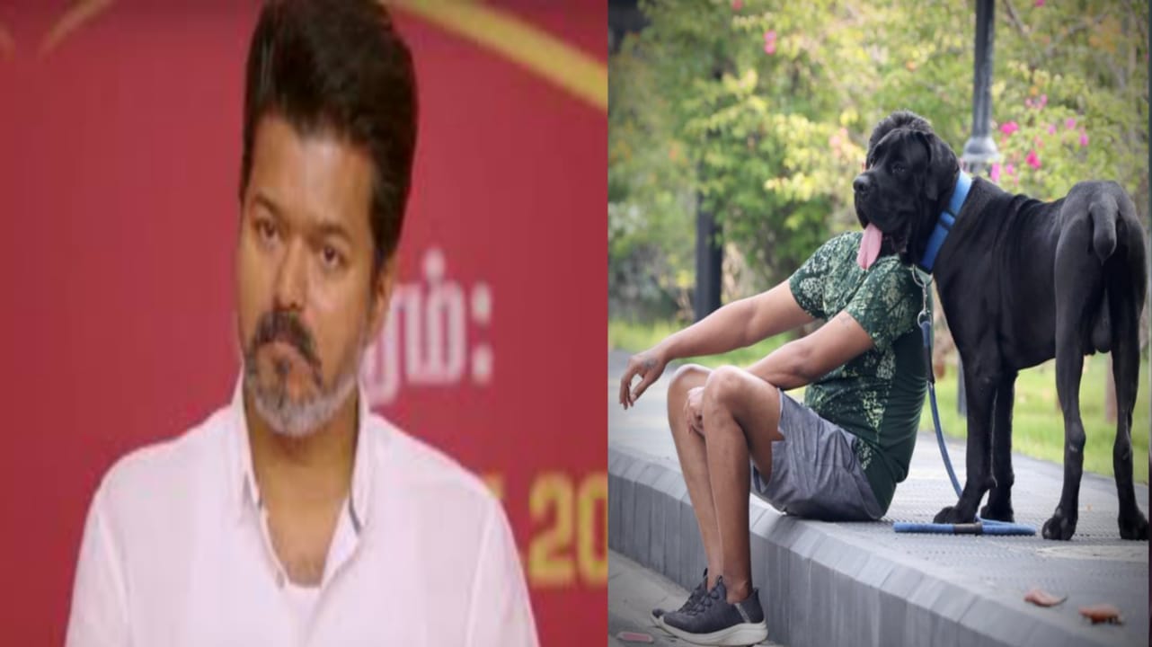 விஜய் தலைமறைவா? உதயநிதி X-ல போட்ட புகைப்படம் காட்டும் புது சர்ச்சை! தவெக தொண்டர்கள் கடும் கோபத்தில்..!!!