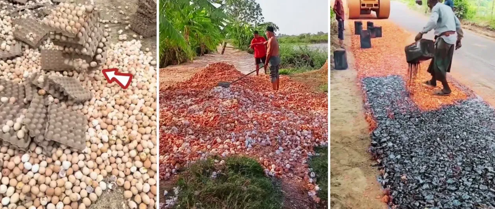 “முட்டை ஓட்டில் சாலை”.. இது 50 வருஷம் நீடிக்குமாம்… சீனாக்காரனின் அடுத்த கண்டுபிடிப்பு… ரொம்ப ஆச்சரியம்… சுவாரசிய செய்தி…!!!!