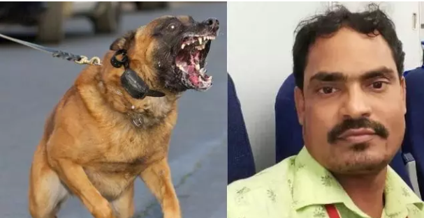நாய் கடிக்கு தடுப்பூசி போட்டாரே…. ஆனாலும் இப்படியா நடக்கணும்…..  ரேபீஸால் உயிரிழந்த நபர்…. உச்சகட்ட சோகம்….!!