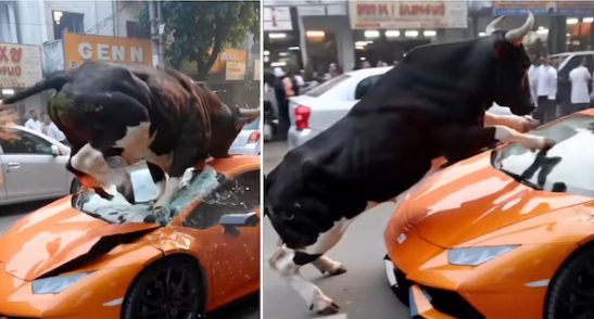 Lamborghini-ஐ நொறுக்கிய மாடு…. கண்ணால் கண்பாதெல்லாம் உண்மை இல்லையா…. AI-யால் ஏமாந்துட்டோமே….!!