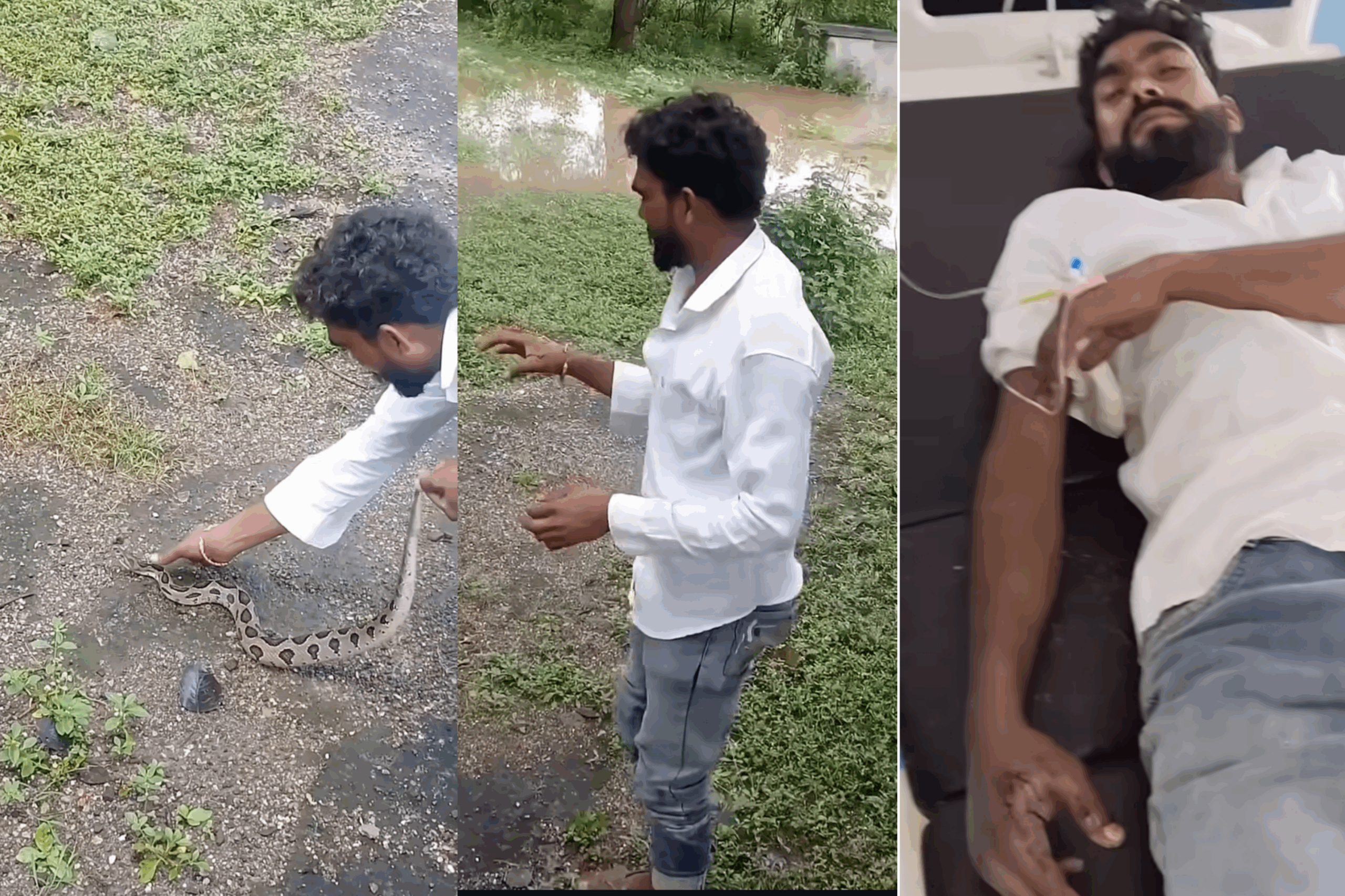 இவ்வளவு தைரியம் தேவையா….? வாலை இழுத்து விளையாடினவரு… அடுத்த நிமிஷம் ஆஸ்பத்திரியில…. அதிர்ச்சி வீடியோ….!!