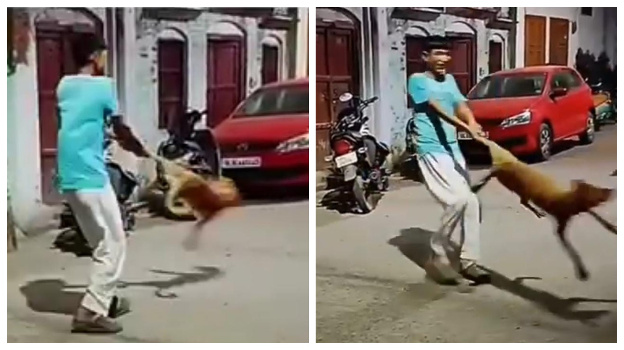 மனிதம் எங்கே?… தெருவில் அமைதியாக படித்திருந்த நாய்… காலை பிடித்து தரதரவென என சுற்றிய வாலிபர்…. நெஞ்சை உலுக்கும் வீடியோ…!!!