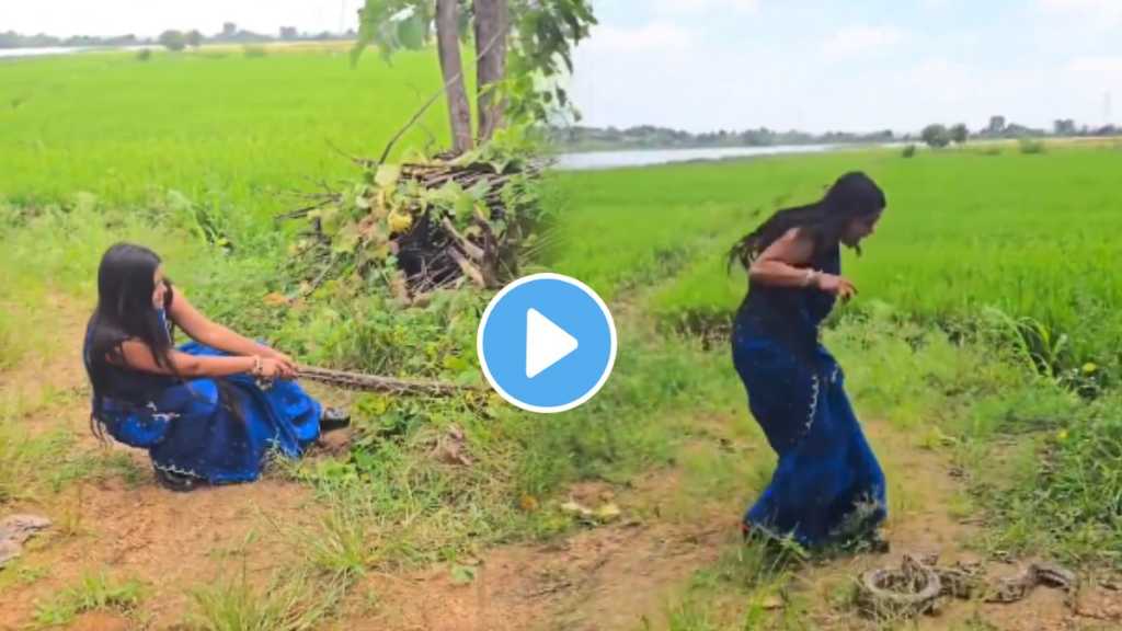 பார்த்தாலே பயங்கரமா இருக்கு..! வயலில் மறைந்திருந்த மிகப்பெரிய பாம்பை பிடித்த இளம் பெண்… வைரலாகும் திகைப்பூட்டும் வீடியோ…!!!!