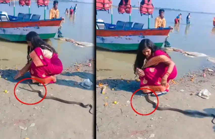 புஜை செஞ்ச இடத்துல சர்ப்ரைஸ் கொடுத்த நாகம்…. பயப்படாம கழுத்தில் போட்டுக்கொண்ட பெண்…. வீடியோ பார்த்து ஆடிப்போன நெட்டிசன்கள்….!!