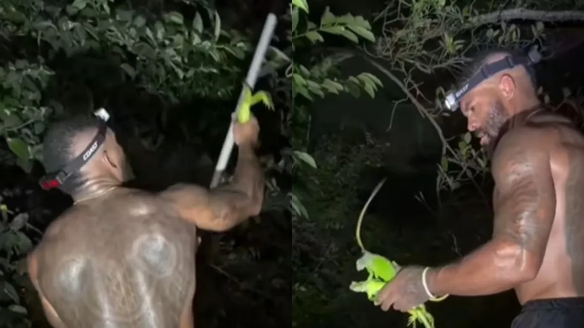 ராத்திரி ஆனாலே இப்படிதானோ….? ஓணான்களுக்கு ஆப்பு CONFIRM…. என்னா வேகமா புடிக்கிறார்….  வைரல் வீடியோ!….!!