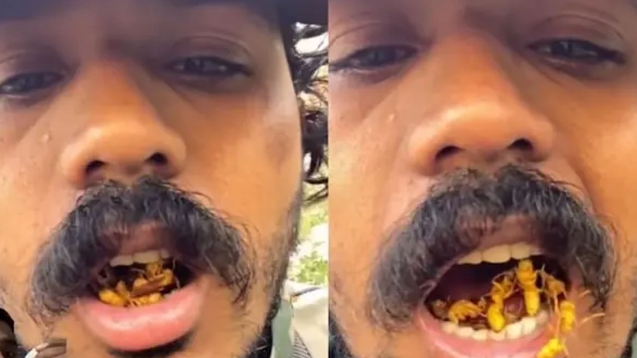 இந்த மனுஷனுக்கு தில்லு தான்…. வாய்க்குள் அத்தனை குளவிகள்….. வைரலாகும் அதிர்ச்சி வீடியோ….!!
