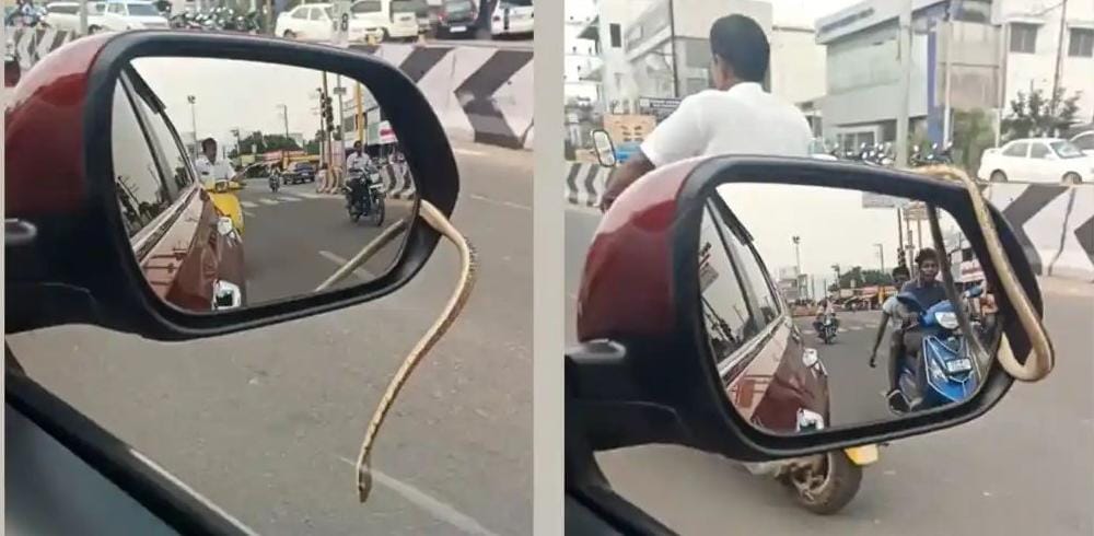 நீ எப்படி டா இங்க வந்த?… சாலையில் சென்ற கார்… கண்ணாடியில் இருந்து வெளிவந்த பாம்பு… வைரலாகும் அதிர்ச்சி வீடியோ…!!