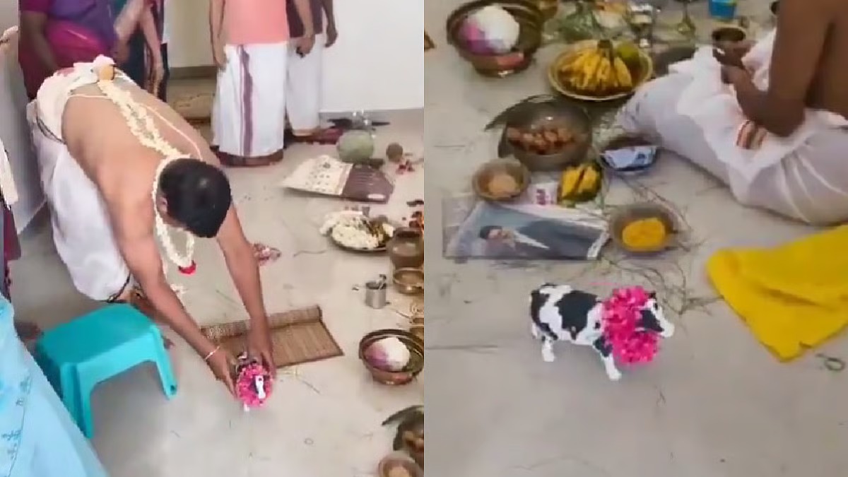 இதுக்கு பெயர் தான் டெக்னாலஜியாவா?…. அபார்ட்மெண்டில் நடந்த கிருஹப் பிரவேசம்… பசு மாட்டுக்கு பதிலாக… வைரலாகும் வீடியோ…!!