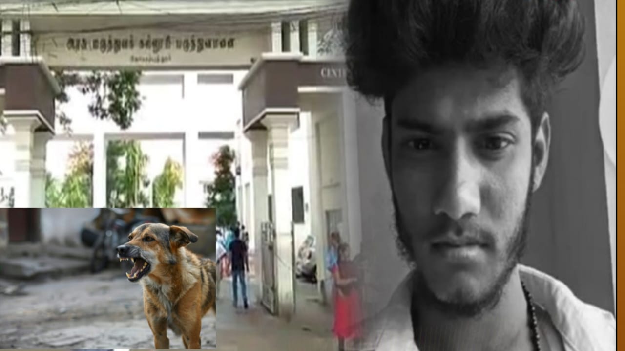 பதற வைக்கும் சோகம்: செல்ல நாய் கடித்தது! – ரேபிஸ் தாக்கித் துடிதுடித்து இறந்த கல்லூரி மாணவன்! சுகாதாரத் துறை சொன்ன பகீர் தகவல்..!!!