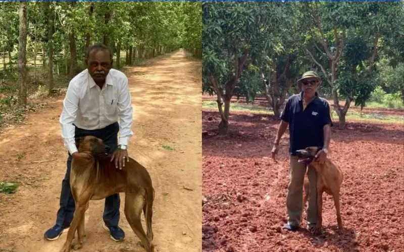 ‘அந்த’ ஒரு முடிவால் வாழ்க்கை மாறியது…. கார்ப்பரேட் வேலையை உதறிவிட்டு கோடீஸ்வரர் ஆன தமிழர்! இவரின் ‘3-அடுக்கு’ டெக்னிக் என்ன தெரியுமா?