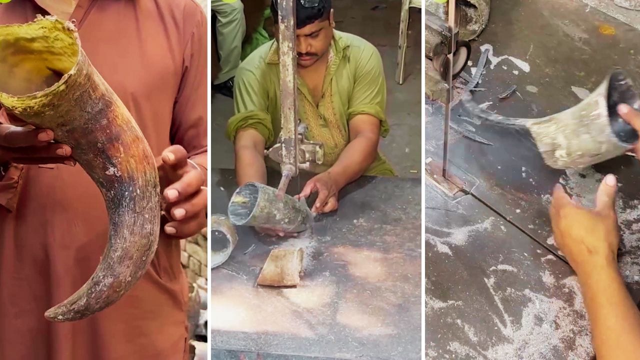 மக்களின் மனதைக் கவர்ந்த ‘பளபளப்பான’ கொம்பு…  வைரலாகும் கைவினைத் திறன்! இத்தனை சிறப்பு என்ன? நீங்களும் பாருங்க..!!!
