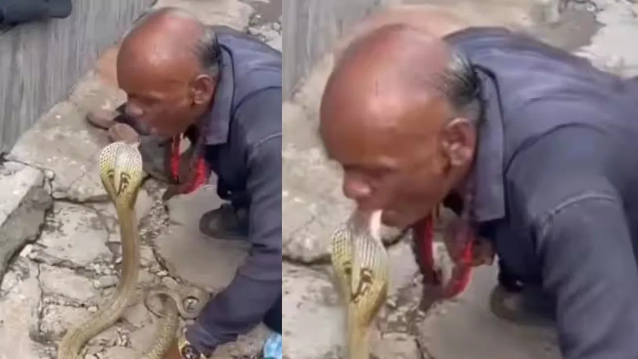 அடக்கொடுமையே…. என்னயா பண்ற?… விஷமுள்ள நாகப்பாம்புக்கு லிப் டு லிப் முத்தம் கொடுத்து… வைரலாகும் அதிர்ச்சி வீடியோ…!!