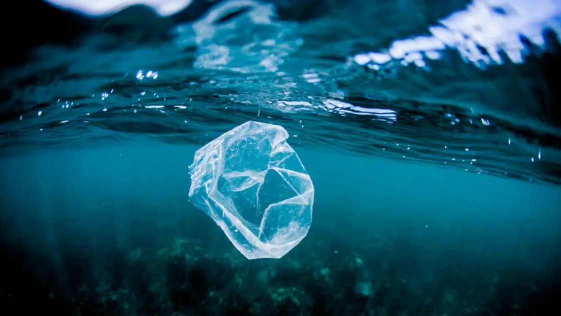 அடேயப்பா! கடலுக்குள்ளேயே பிளாஸ்டிக் திங்கும் ‘ஆட்கொல்லி’ பாக்டீரியா…. மறுசுழற்சி உலகில் ஒரு புரட்சி….!!