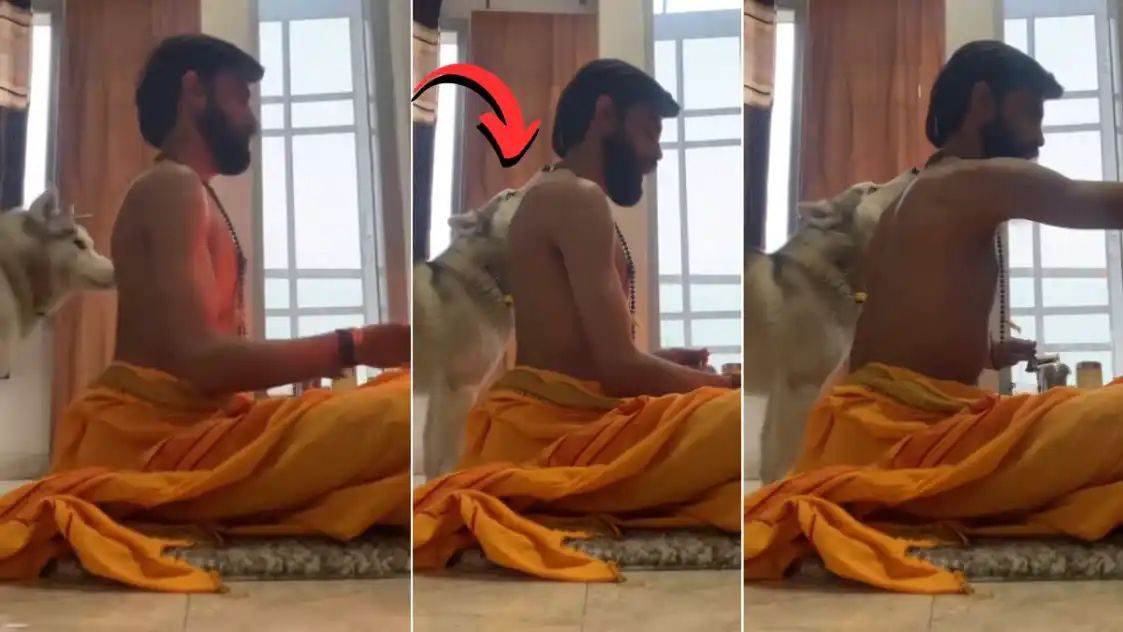 நம்பமுடியாத காட்சி!  நாய் கடவுளின் நாமத்தை பாடுகிறது! இந்த வீடியோவைப் பார்க்காமல் இருக்க முடியாது..!!