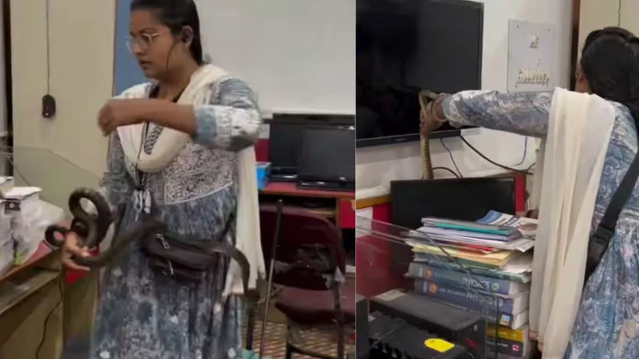 “நீங்கள் சிங்கப்பெண் தான்”… அலுவலகத்தில் இருந்த பாம்பை அசால்ட்டாக பிடித்த பெண்… வைரலாகும் வீடியோ…!!