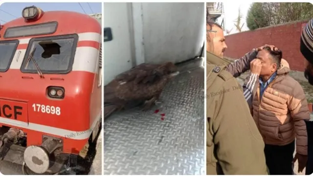 #வீடியோ: ‘பருந்து தாக்குதல்’: ஓடும் ரயிலின் கண்ணாடியை உடைத்து உள்ளே பாய்ந்ததால் லோகோ பைலட் காயம்!