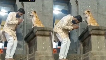 “அந்த ஒரு நொடி”… கோவிலுக்கு வந்த பக்தர்களுக்கு ஆசிர்வாதம் வழங்கிய நாய்… இறைவன் எந்த ரூபத்திலும் வரலாம்… ஆச்சரிய வீடியோ..!!