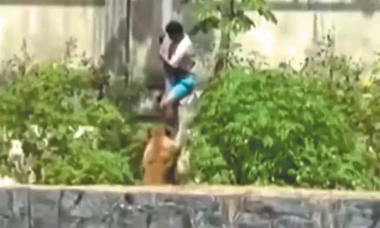 பெரும் சோகம்… உயிரியல் பூங்காவில் அடைத்து வைக்கப்பட்டிருந்த சிங்கம்… தடுப்புகளை மீறி உள்ளே சென்ற இளைஞர்… பரிதாபமாக போன உயிர்…!!!