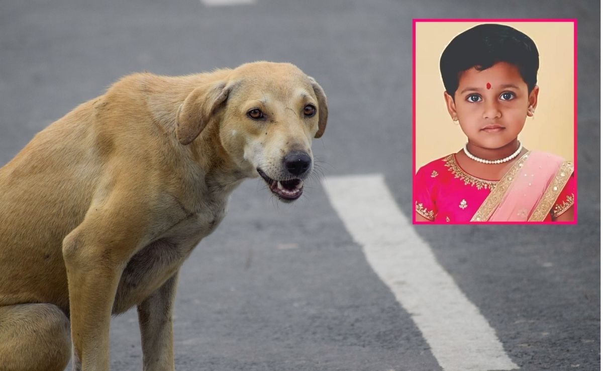 “தெருநாய் கடி” தடுப்பூசி எடுத்தும் உயிர் போச்சே…. திடீரென மாறிய குணம்…. 6 வயது நிஷாவின் கடைசி நிமிடங்கள்….!!
