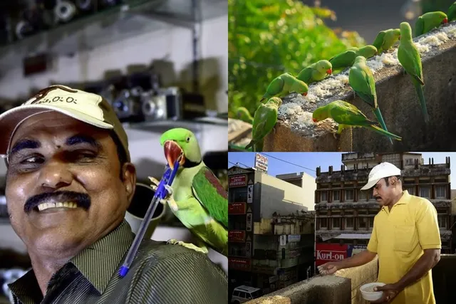 பெரும் அதிர்ச்சி..! “உணவுக்காக தேடித்தேடி வரும் கிளிகள்”… சென்னையின் பறவை மனிதர் சேகர் காலமானார்… இரங்கல்..!!