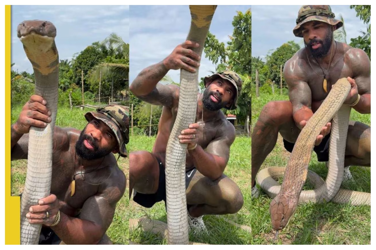 உயிருள்ள ராஜ நாகத்தை கழுத்தில் சுற்றிய நபர்..! “இது துணிச்சல் இல்லை முட்டாள்தனம்”… நடு நடுங்க வைக்கும் காணொளி… விளாசும் நெட்டிசன்ஸ்..!!