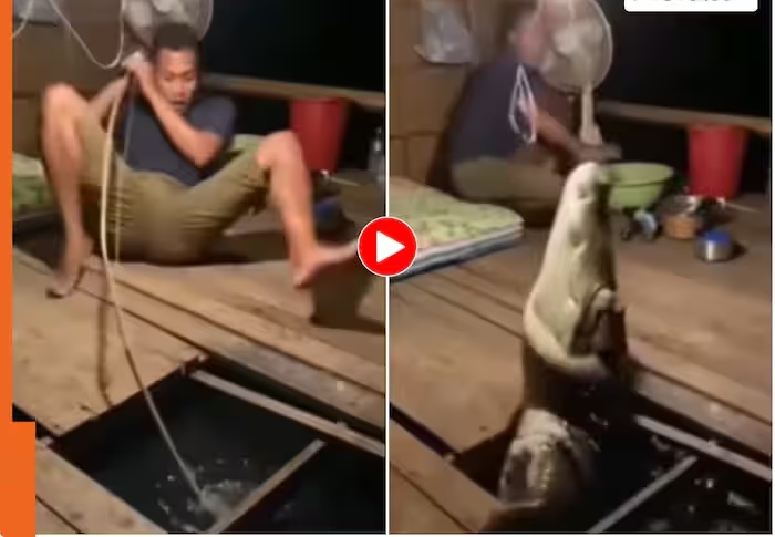“மீன் பிடிக்க நினைச்சது ஒரு குத்தமா?”.. வலையில் சிக்கிய முதலை.. பதறி துடித்த இளைஞர்.. வைரலாகும் திக் திக் வீடியோ..!!!