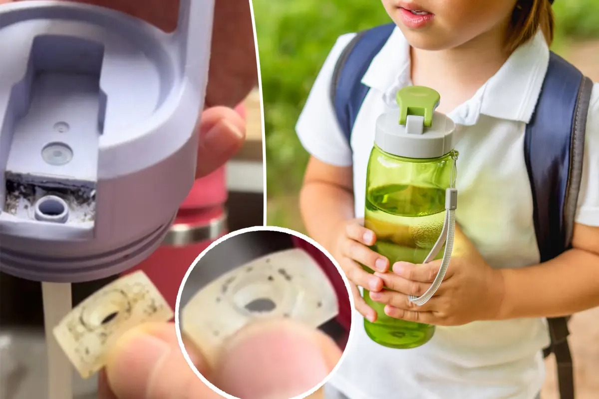 ஷாக் வீடியோ: உங்கள் வாட்டர் பாட்டிலில் ஒளிந்திருக்கும் ஆபத்து! தினமும் நீங்கள் குடிக்கும் பாட்டிலில் இவ்வளவு பூஞ்சையா? – ஒரு தந்தை வெளியிட்ட தகவல்!