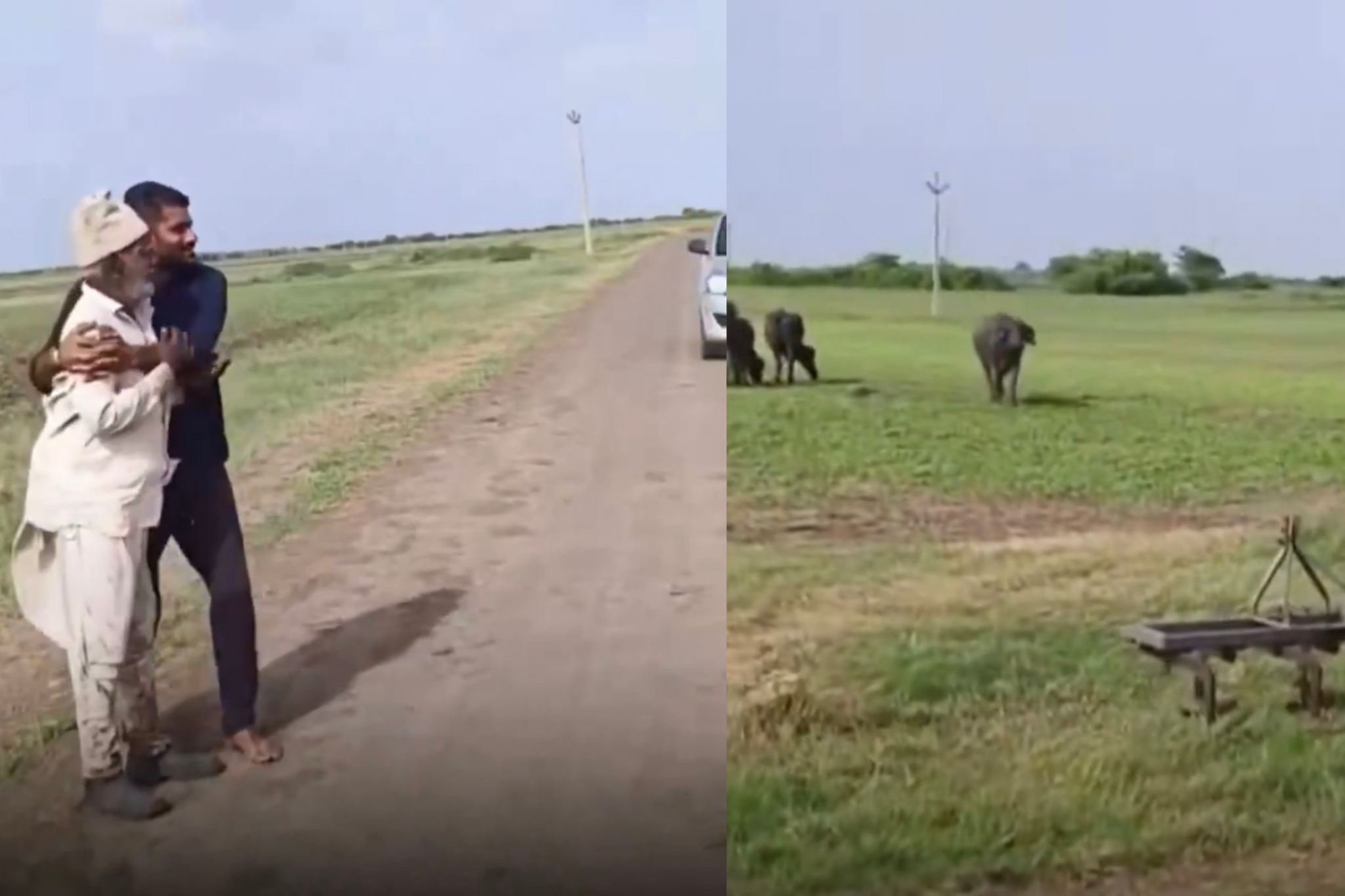 திடீர் தாக்குதல்…. தடுத்தது யார் தெரியுமா….? பெரியவரைக் காப்பாற்ற சீறி வந்த எருமை…. X தளத்தை உருக வைத்த காணொளி….!!