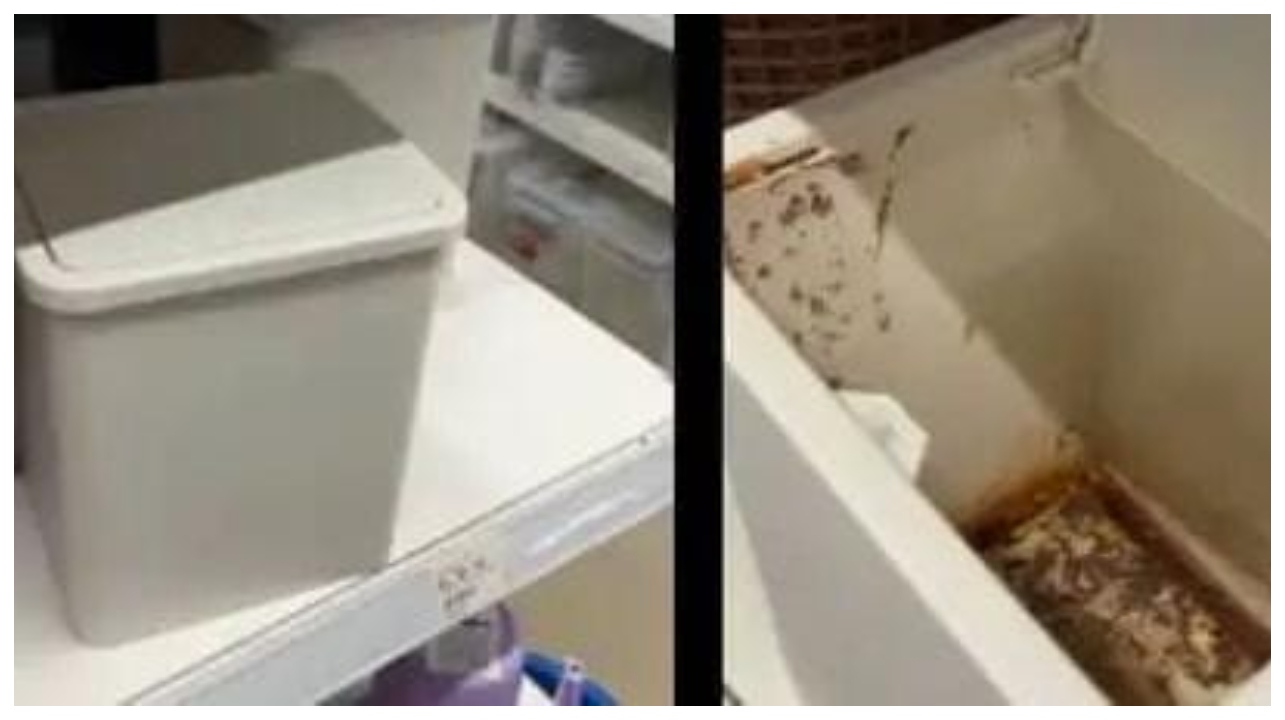 அட இப்படியா பண்ணுவீங்க?… சூப்பர் மார்க்கெட்டில் விற்பனைக்காக வைக்கப்பட்ட குப்பைத்தொட்டி… பான் மசாலாவை துப்பி… முகம் சுளிக்க வைக்கும் வீடியோ…!!