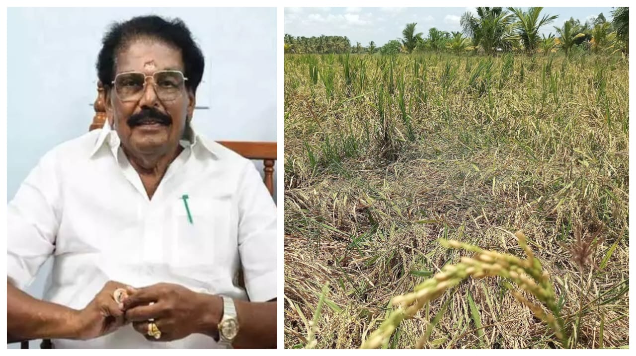 Breaking: தமிழகத்தில் நீரில் மூழ்கி சேதமடைந்த பயிர்கள்… ஒரு ஹெக்டேருக்கு ரூ.20,000 இழப்பீடு… அமைச்சர் அறிவிப்பு..!!