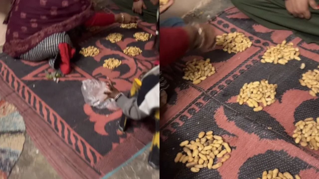 “ஒரு கடலை கூட அதிகமா போகக்கூடாது”…  அமர்ந்து வேர்க்கடலையை ஒவ்வொன்றாக பங்கு பிரித்த குடும்பம்.. வைரலாகும் வீடியோ…!!!